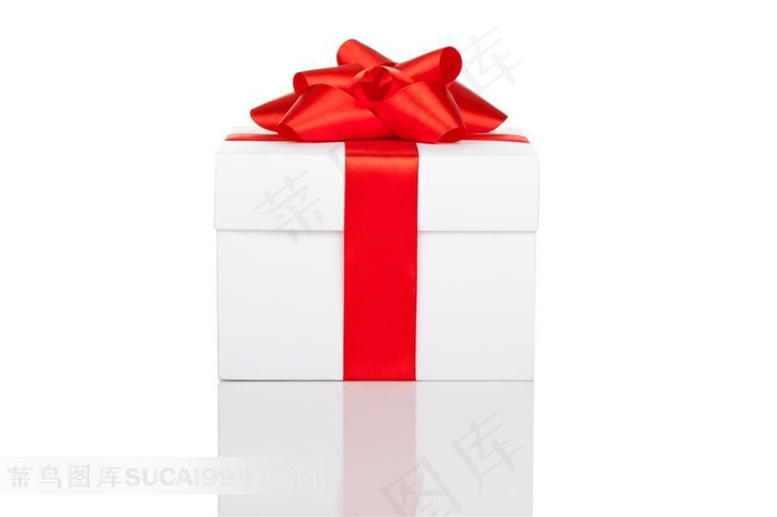 圣诞系列 - 美丽的圣诞礼物