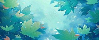 夏天湖面落叶荷花荷叶水面仰视，夏至小暑大暑