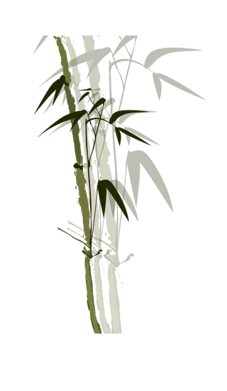 竹子水墨画中国风国画墨水书法竹子画