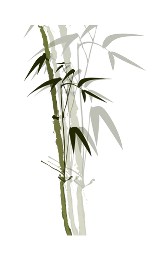 竹子水墨画中国风国画墨水书法竹子画