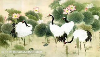 水墨荷花仙鹤图