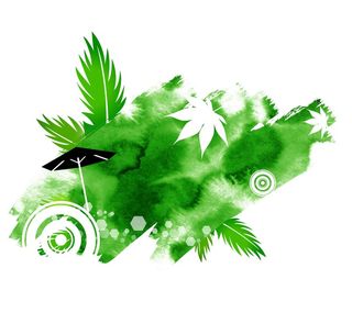 绿色小清新枫叶鲜花名片插画插图海报背景图片素材