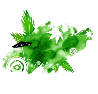 绿色小清新枫叶鲜花名片插画插图海报背景图片素材