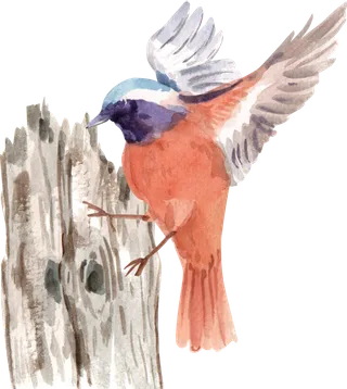 插画春鸟免抠素材