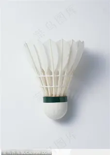 平方的羽毛球 平方的羽毛球
