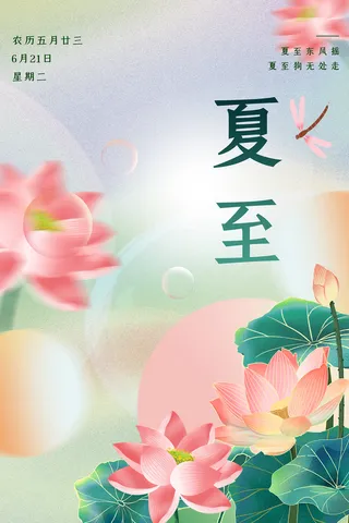 荷花手绘风夏至节气简约海报