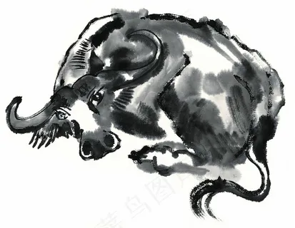 家禽大图jpg素材