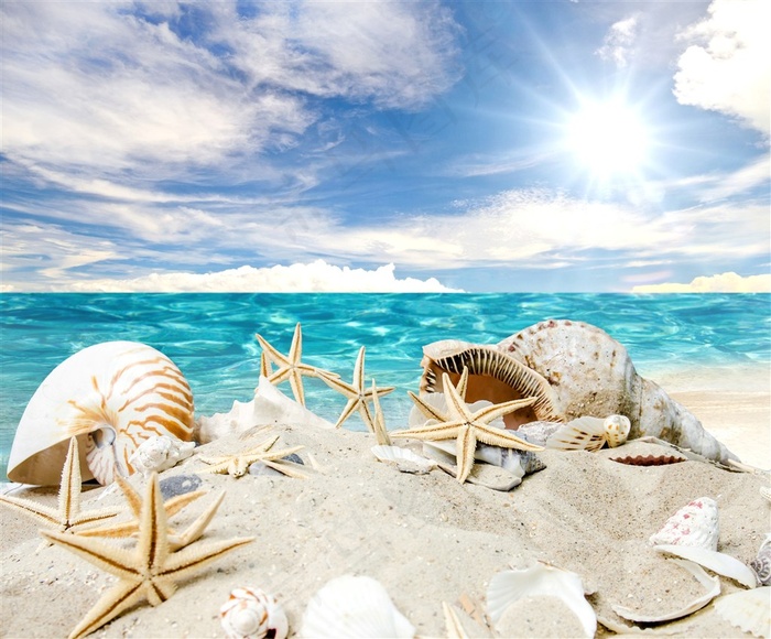 海螺海景高清风景画