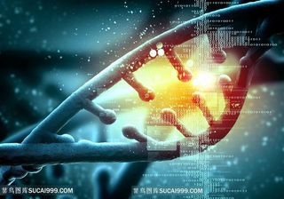 基因生物图片