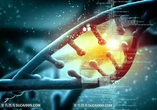 基因生物图片