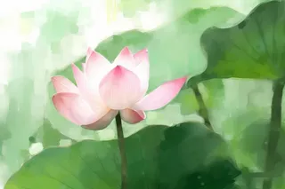 国风荷花水墨节气背景