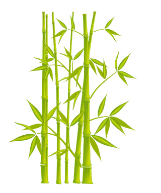 竹子水墨画中国风国画墨水书法竹子画