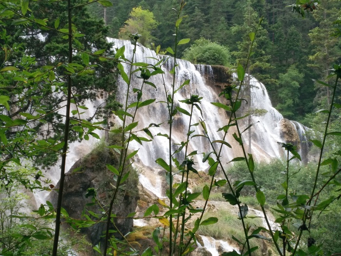 遥看瀑布挂前川