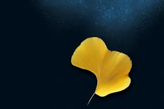 蓝色秋叶极简清新背景