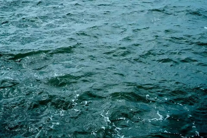 水上涟漪图片