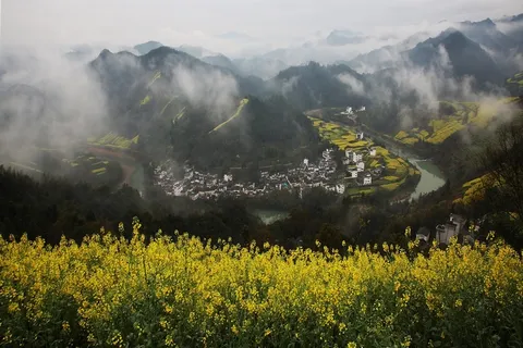安徽石潭油菜花风景图片-第6张 安徽石潭油菜花风景图片-第6张
