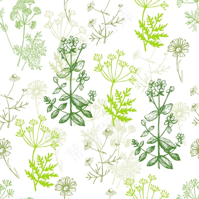 花草插画设计ai矢量模版下载