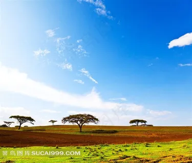 高清非洲草原图片下载