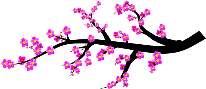  梅花素材