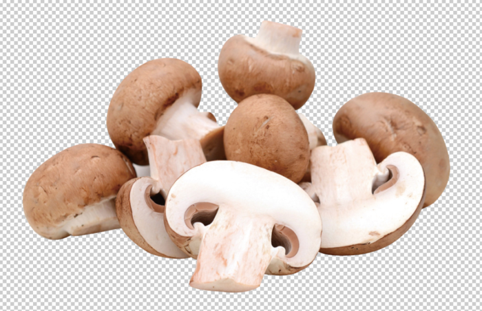 香菇免扣素材