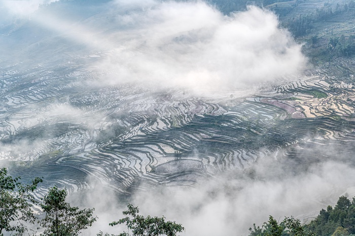 红河撒马坝梯田