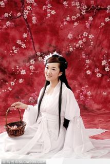 穿传统汉服服装扮成林黛玉的古典美女