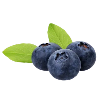 76蓝莓 (4)水果超市商品白底图免抠实物摄影png格式图片透明底