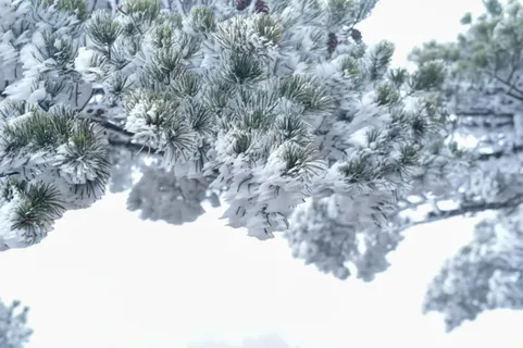 雪景风光摄影图片 雪景风光摄影图片