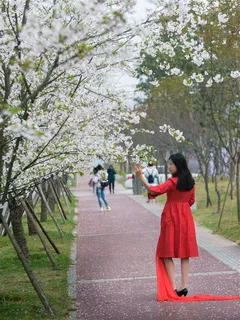 路边自拍的女孩 路边自拍的女孩