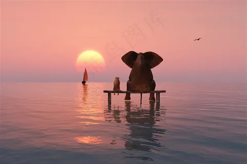 板凳上的大象和小狗背影高清图片