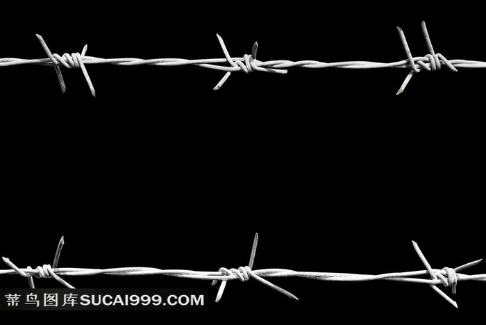 铁丝网系列 - 两条平行的铁丝网