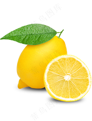 柠檬免抠素材 (20)