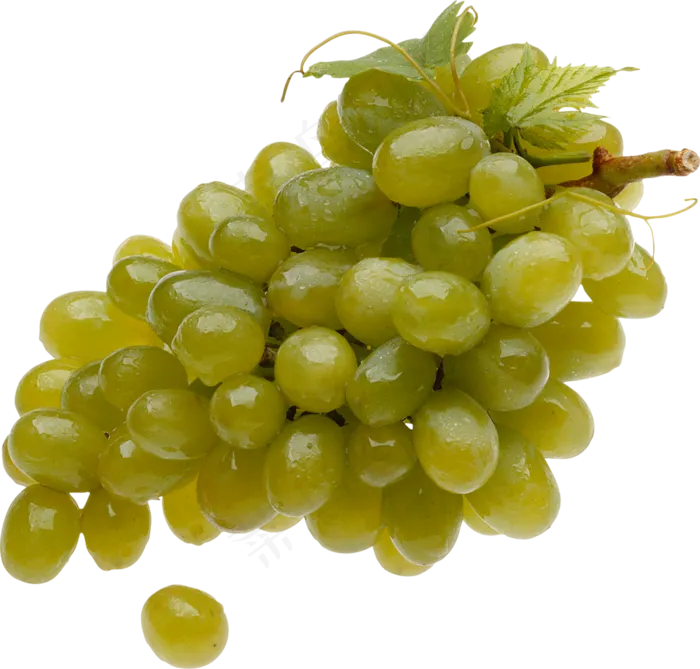 葡萄免抠素材 (43)