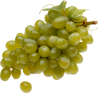 葡萄免抠素材 (43)