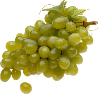 葡萄免抠素材 (43)