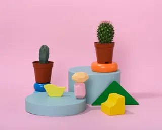 绿色仙人掌仙人球摄影素材