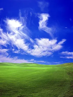 天空草地风景图片下载 天空草地风景图片下载