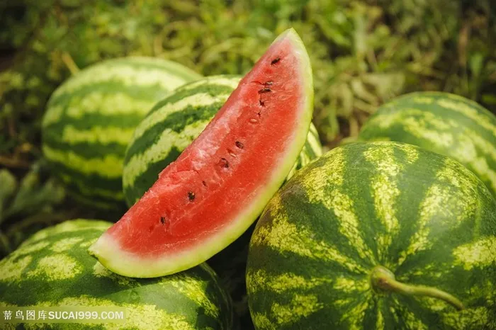 唯美素食西瓜