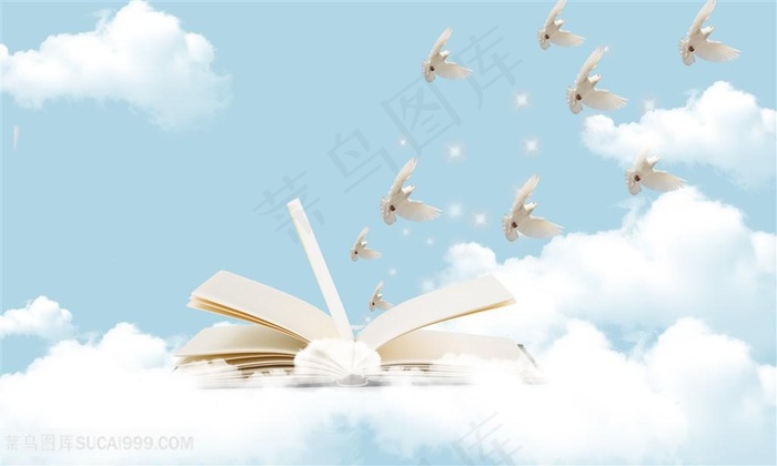 学习的希望白鸽飞翔