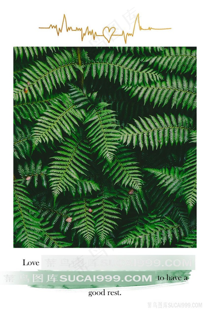唯美绿色植物装饰画