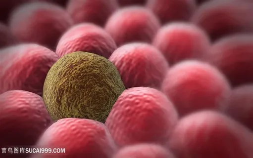 人体生物细菌医学研究 人体生物细菌医学研究
