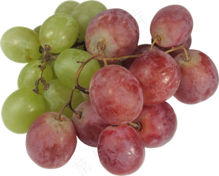 葡萄免抠素材 (50)