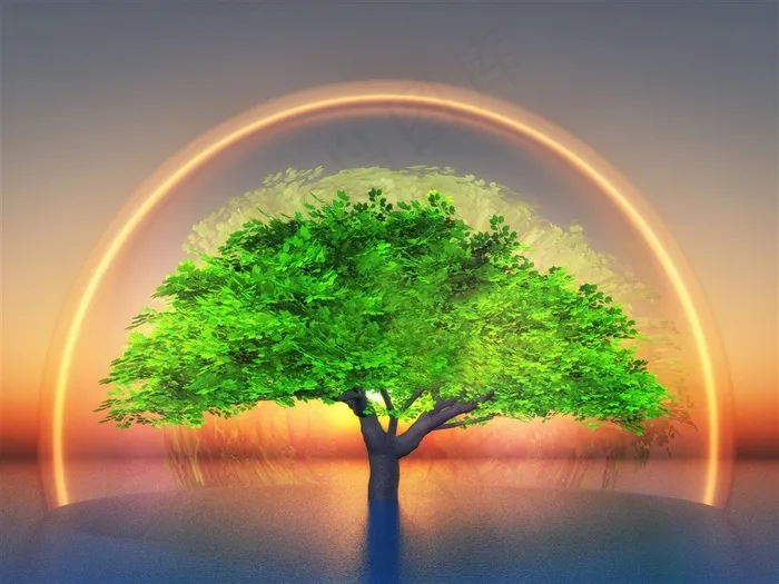 发着光芒的树