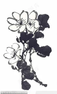 国画花卉植物-黑白水墨花卉桃花 国画花卉植物-黑白水墨花卉桃花