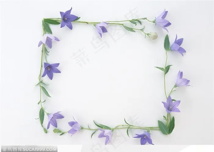 相框边框-小紫花组成的边框