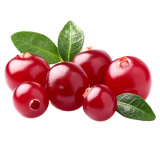75蔓越莓 (7)水果超市商品白底图免抠实物摄影png格式图片透明底