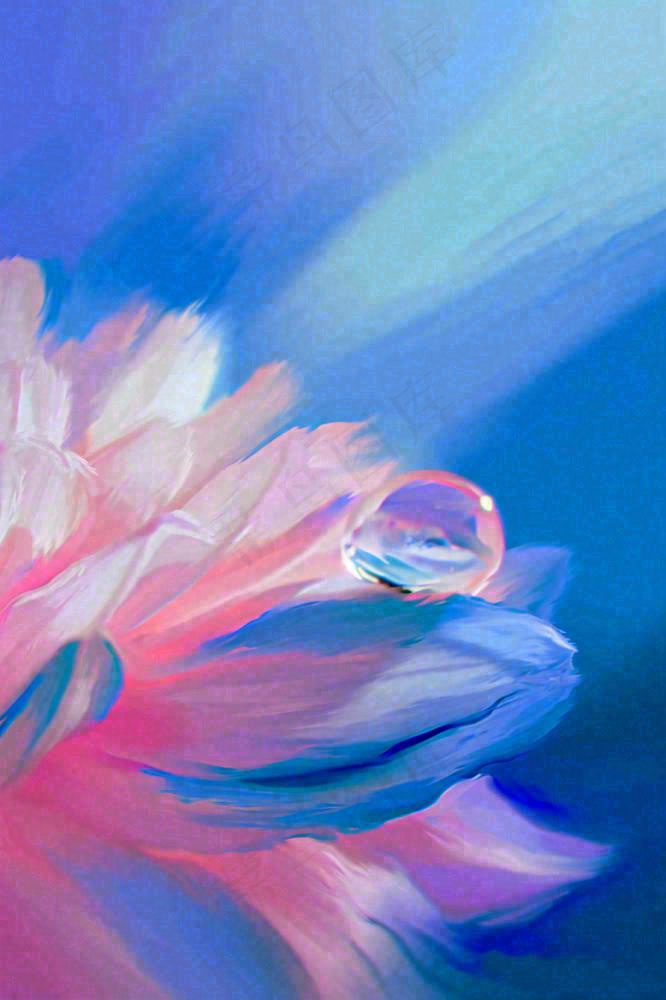 粉蓝渐变鲜花唯美水滴手绘插画