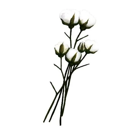 棉花 PNG免抠(450x450)