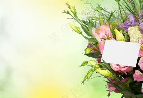 唯美鲜花高清素材摄影图片 唯美鲜花高清素材摄影图片