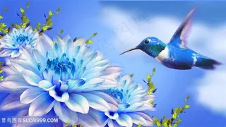 蓝色小鸟与蓝色的花